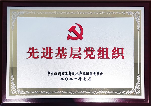 中共杏耀集团党委荣获“先进基层党组织”称号