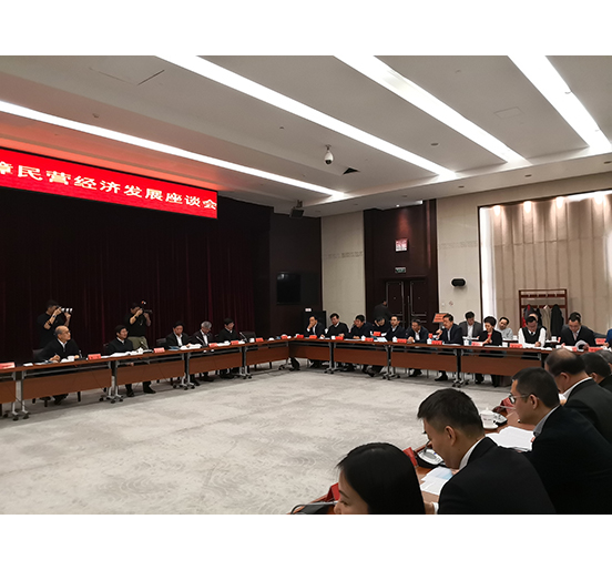 全国人大代表、杏耀集团董事长熊建明参加检察机关服务保障民营经济发展调研座谈会